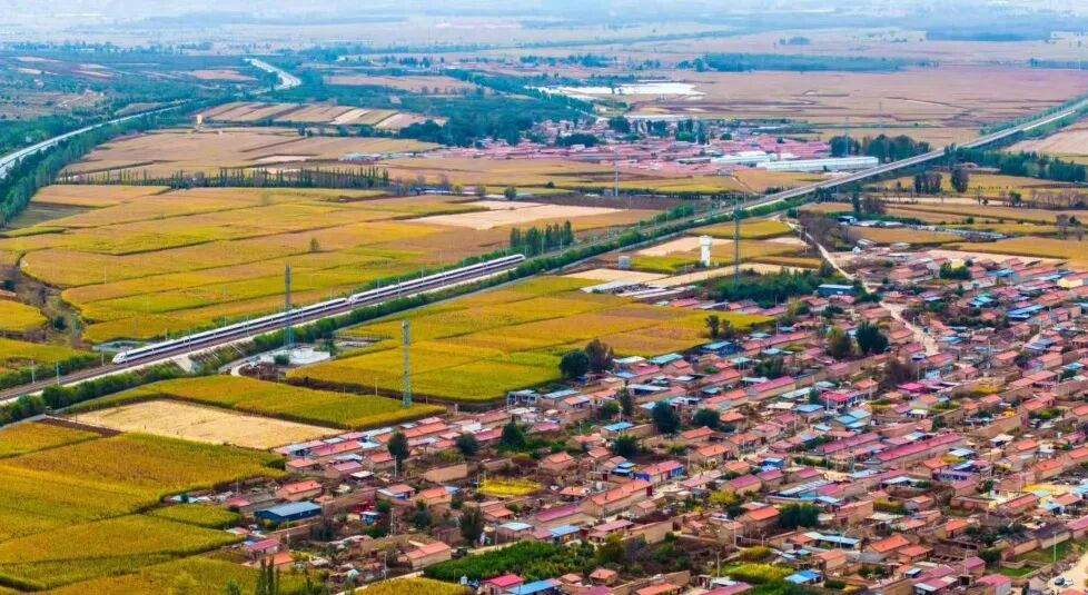 圖片1.png 圖片1.png