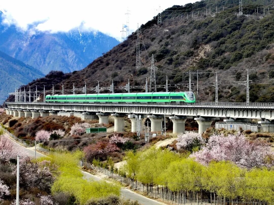 圖片7.png 圖片7.png