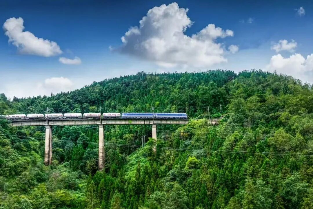 圖片12.png 圖片12.png