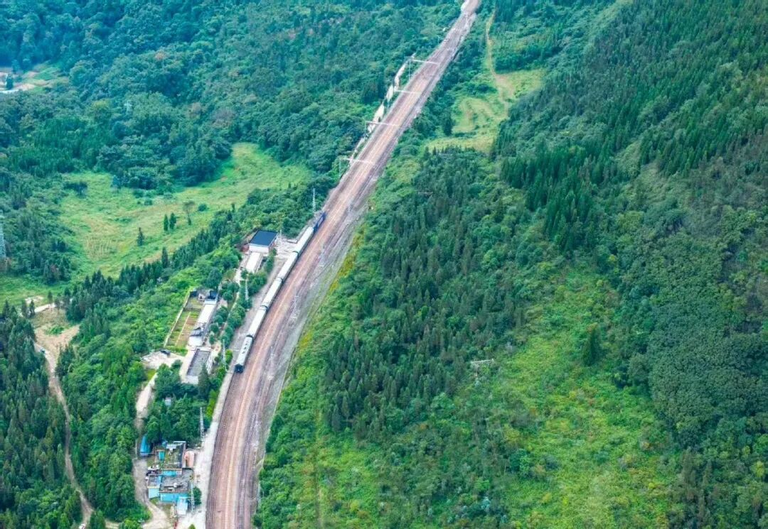 圖片15.png 圖片15.png